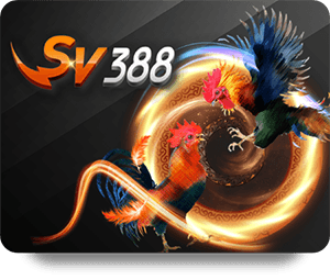 รีวิวประสบการณ์การใช้ LSM99 เข้าสู่ระบบครั้งแรก